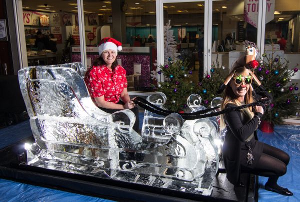 ice sculpture shopping centre