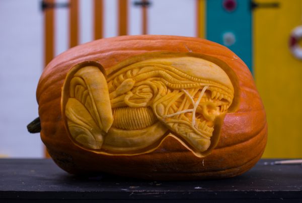 professional_pumpkin_carving_yorkshire