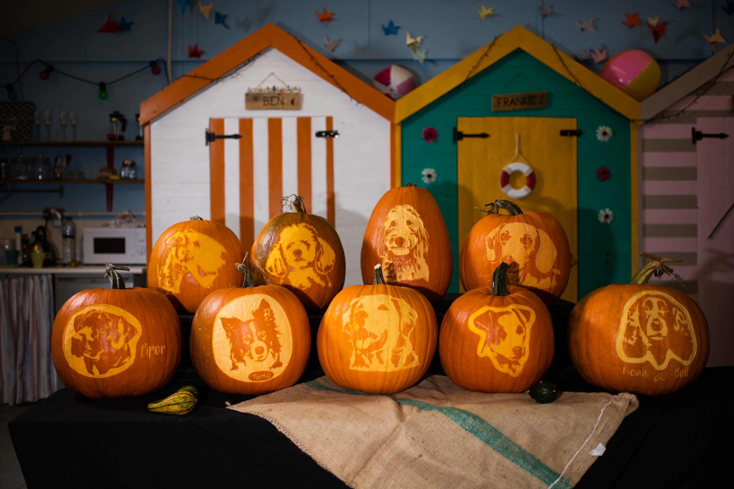 Spooky Dog Portrait Pumpkins for Goodwood Halloween Party