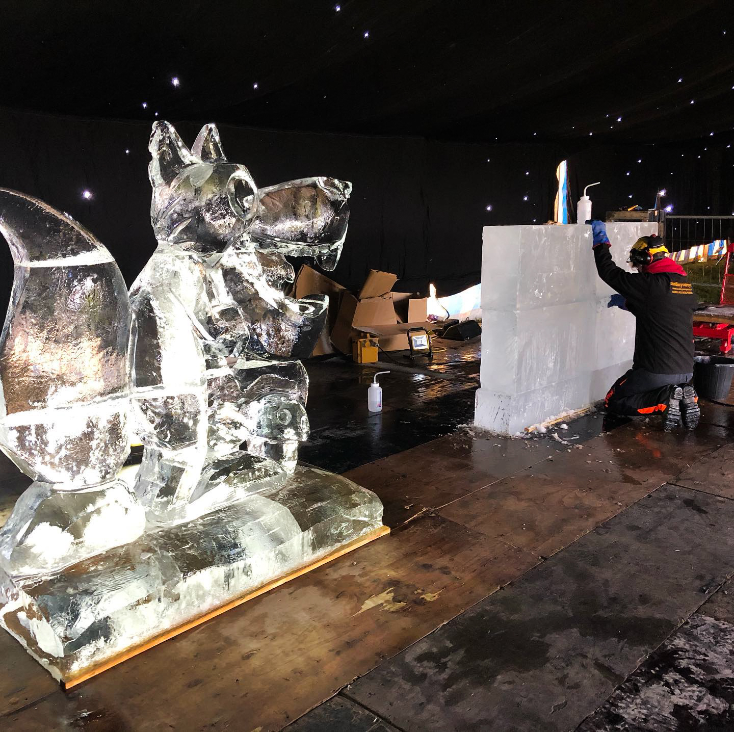 The big, bad, icy wolf and the three little ice piggies – Ice sculptures at Sandringham