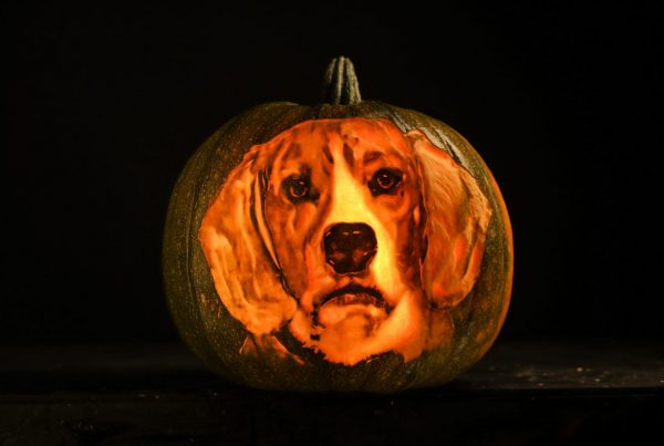 halloween_carved_pumpkin_uk