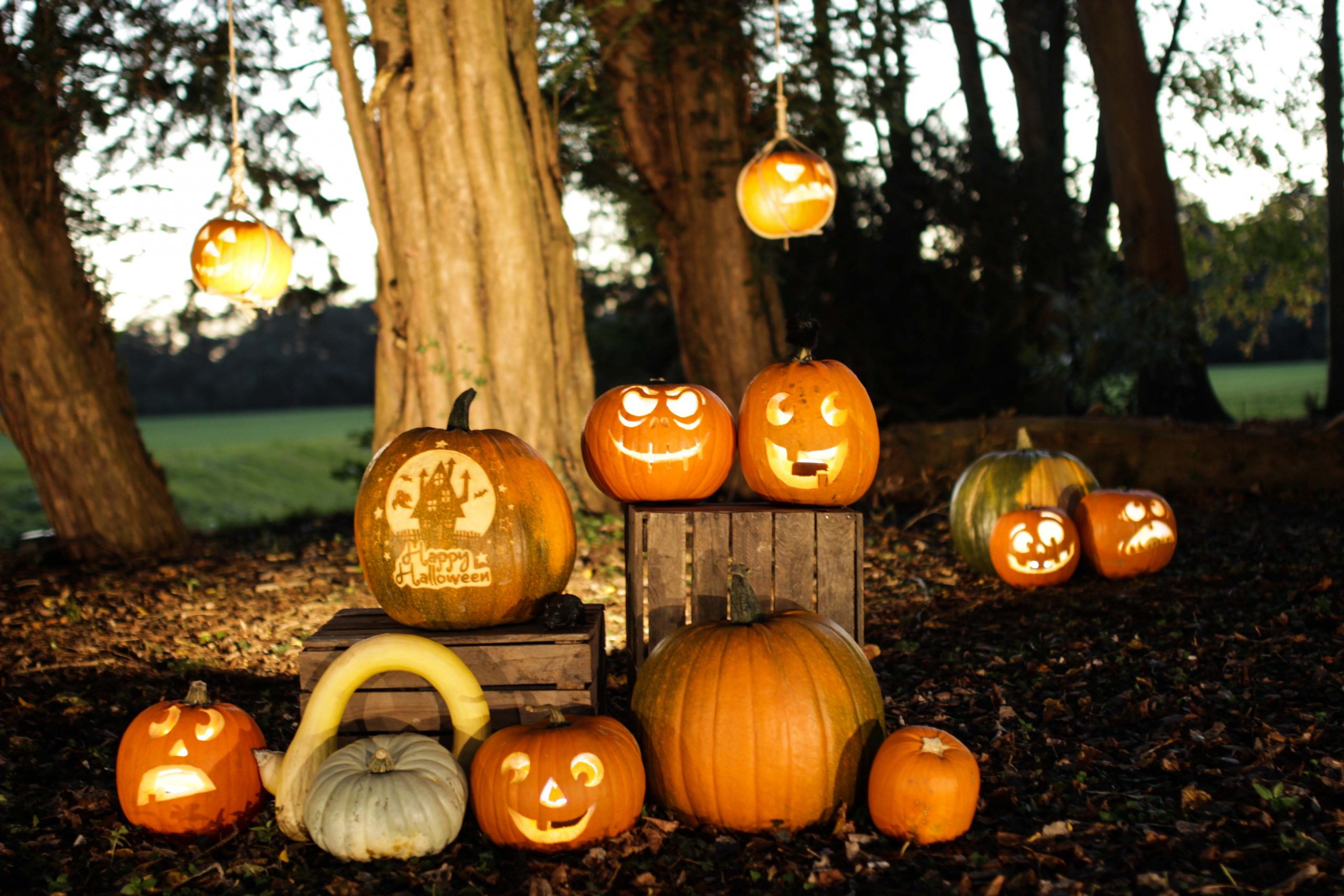 Pumpkin Carving Showcase