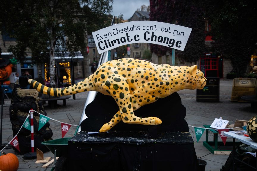 Hebden Bridge Pumpkins take on climate change!