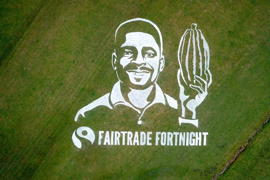 Fairtrade Fortnight Climate Crisis for Cocoa Field Painting