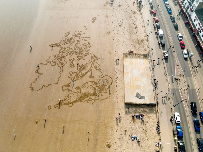UK Youth For Nature: Drawing Lines in the Sand