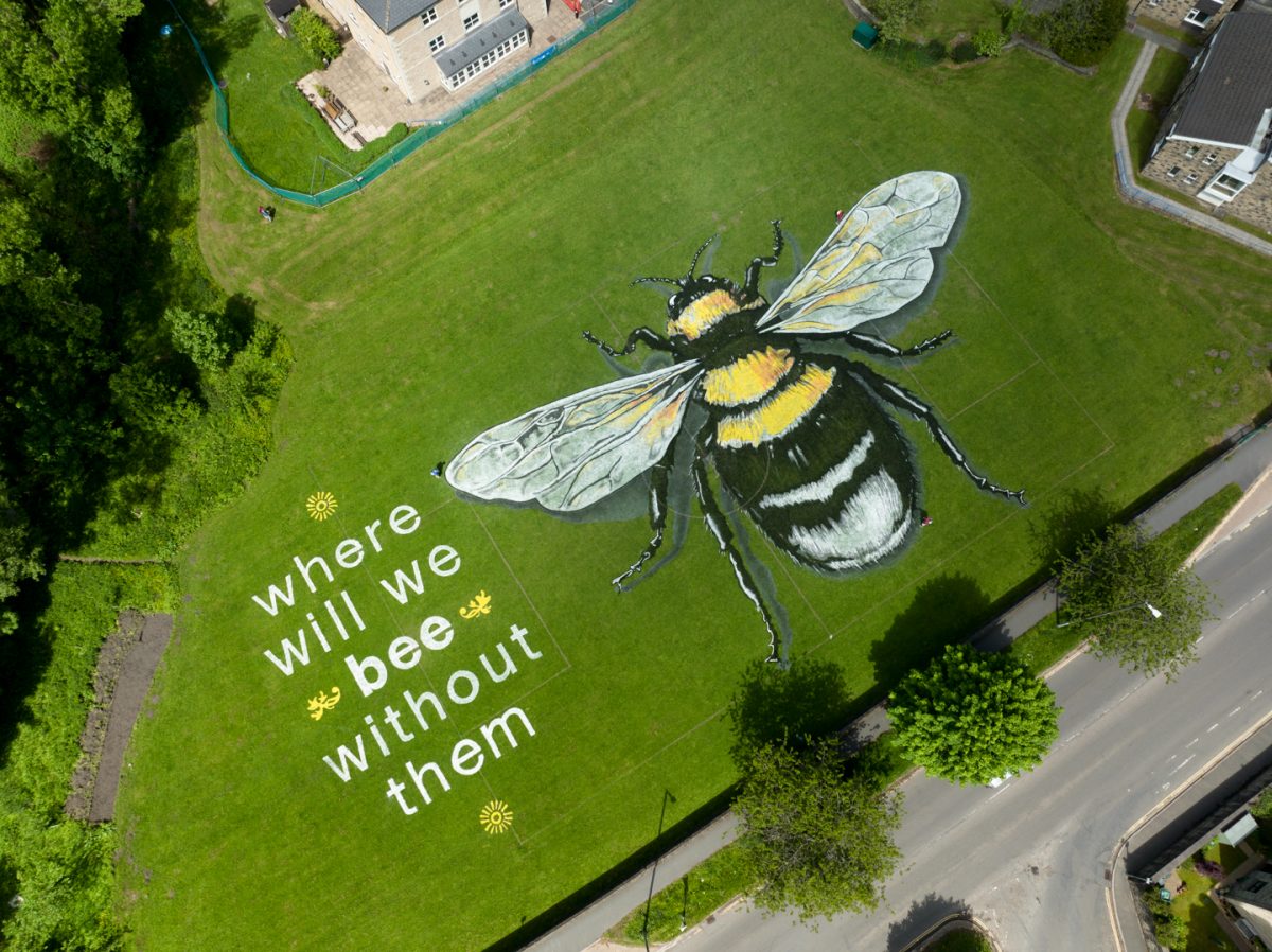 Giant land art to celebrate World Bee Day