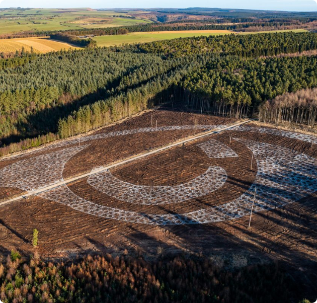 Forest Eye in Dalby Forest – Monumental Land Art for future generations