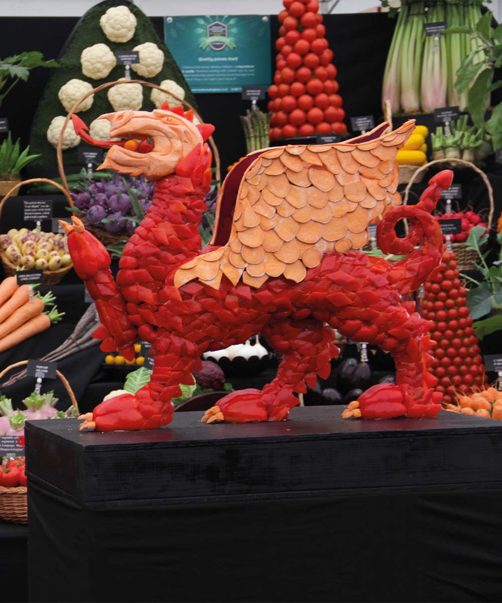 Our carved vegetable dragon makes a roar at the RHS Chelsea Flower Show