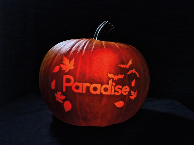 paradise_pumpkin_carving