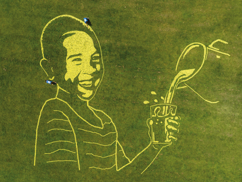 call_to_action_stunt_photograph