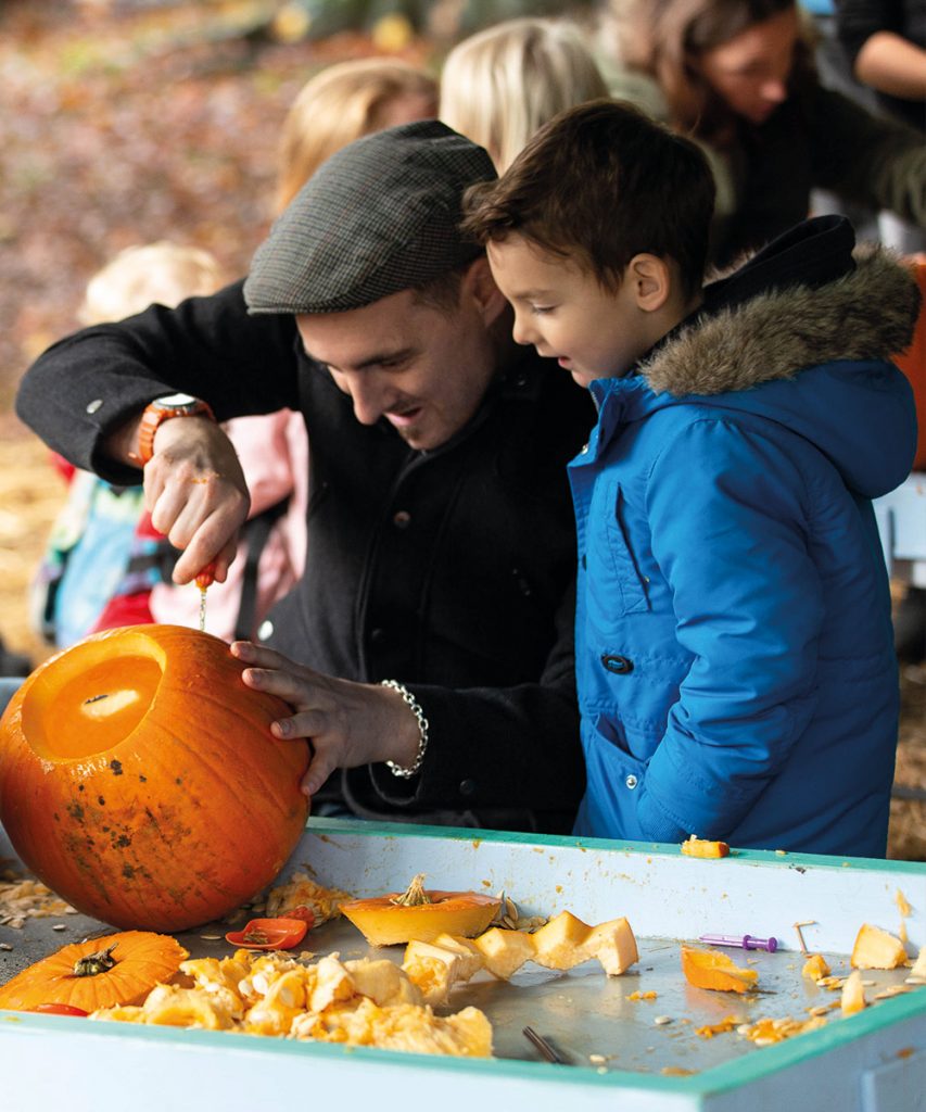 local_authority_public_events