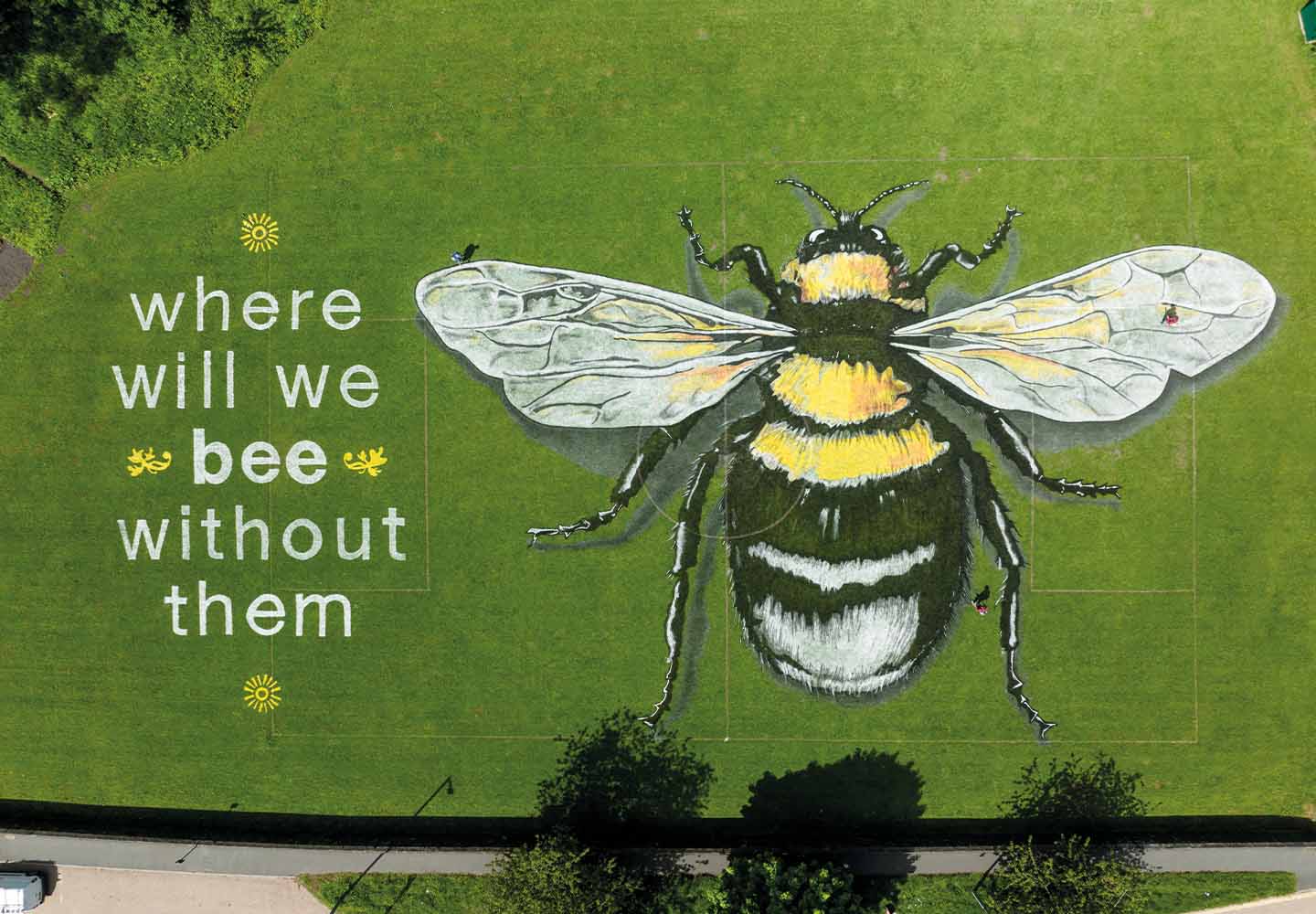 save_the_bees_land_art