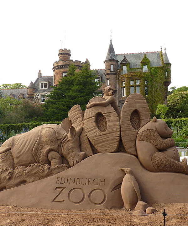 Edniburgh-Zoo,-credit-Sand-in-Your-Eye