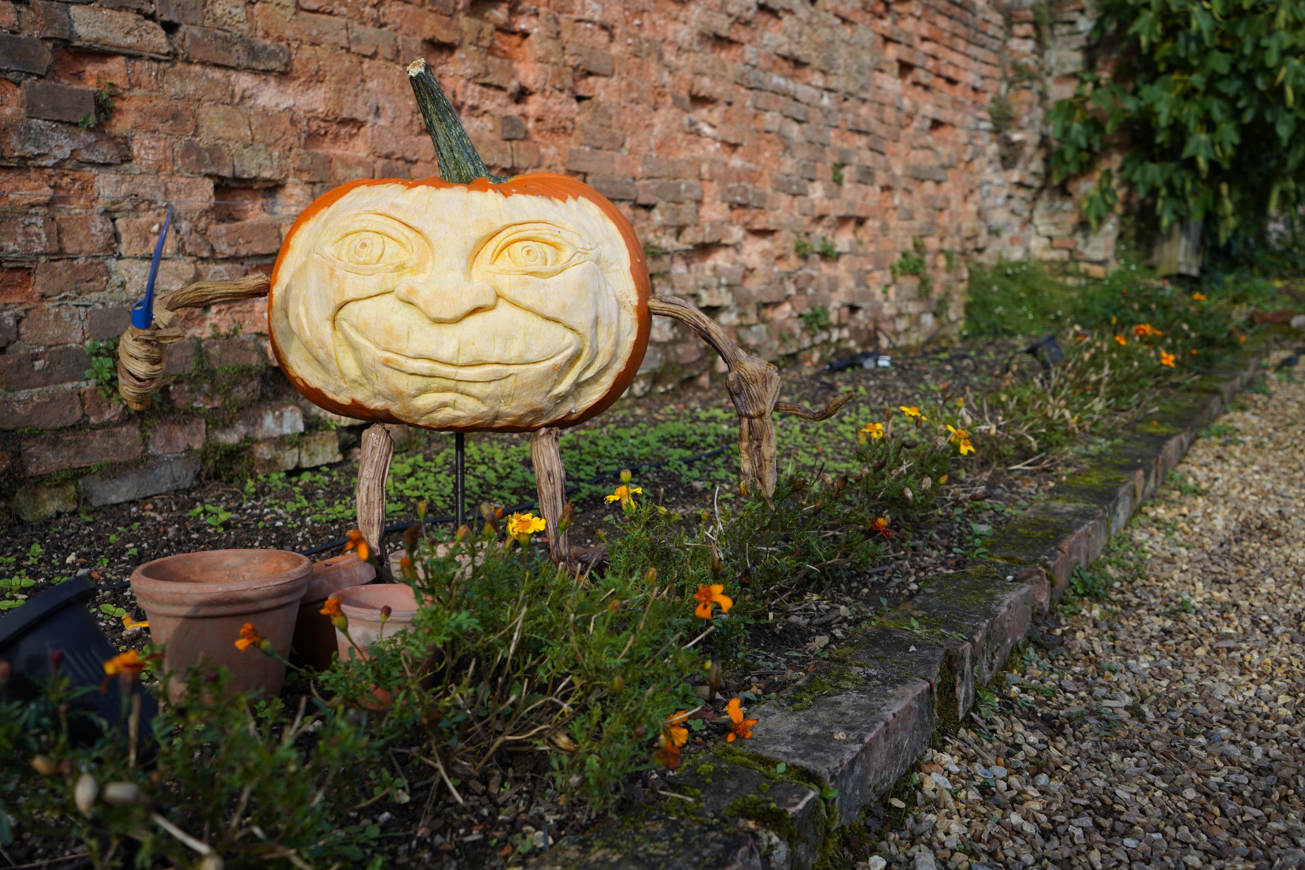 Our carved pumpkins do a bit of gardening