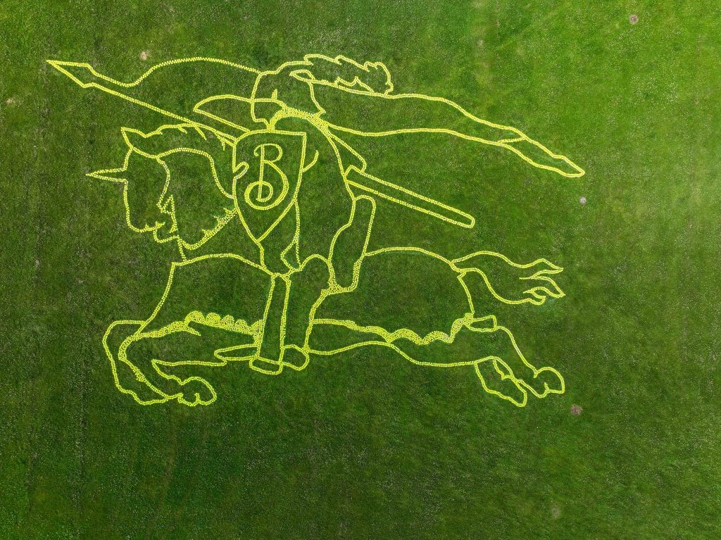 Land art burberry 2