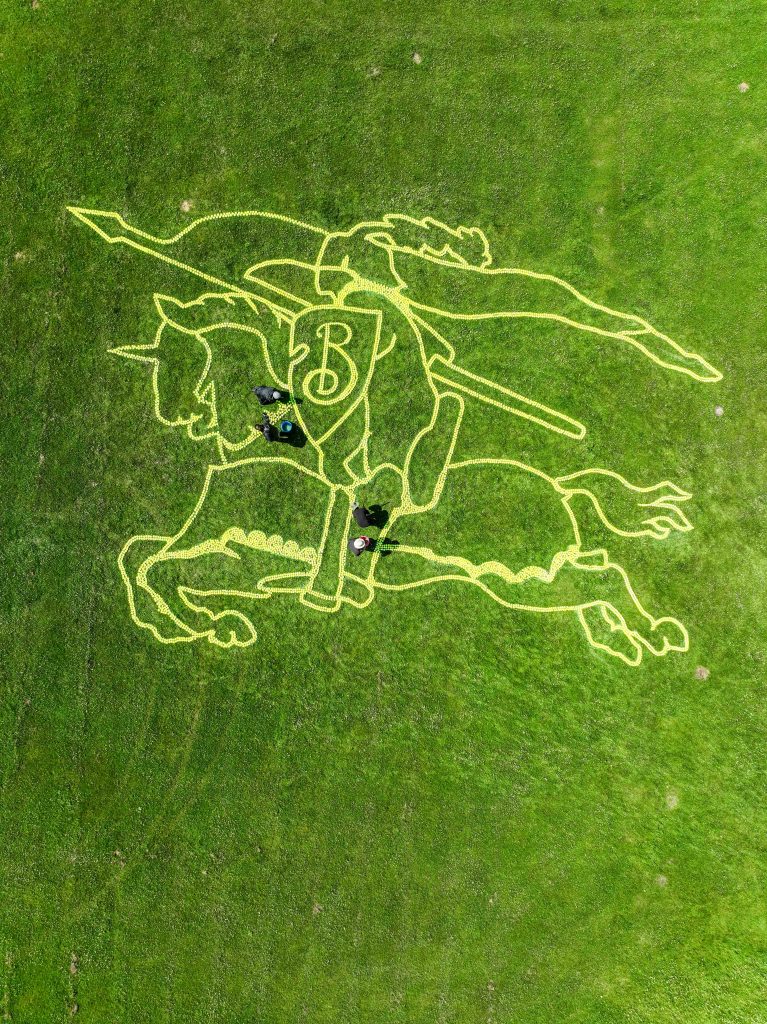 Land art burberry 4