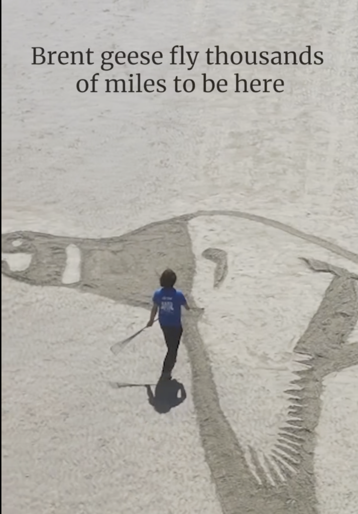 sand_drawing_animationsand_drawing_animation