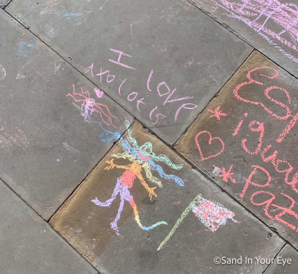 bradford chalk workshops 28