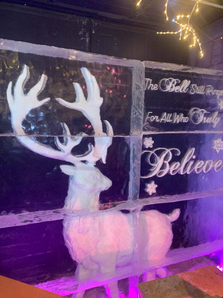 Nottingham ice bar polar express 7