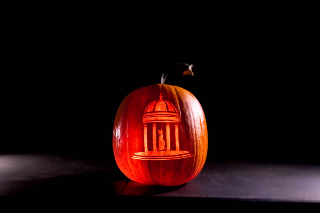 Beyond the Jack-o'-Lantern: The Art of Professional Pumpkin Carving 6 Susie Pumpkins 15