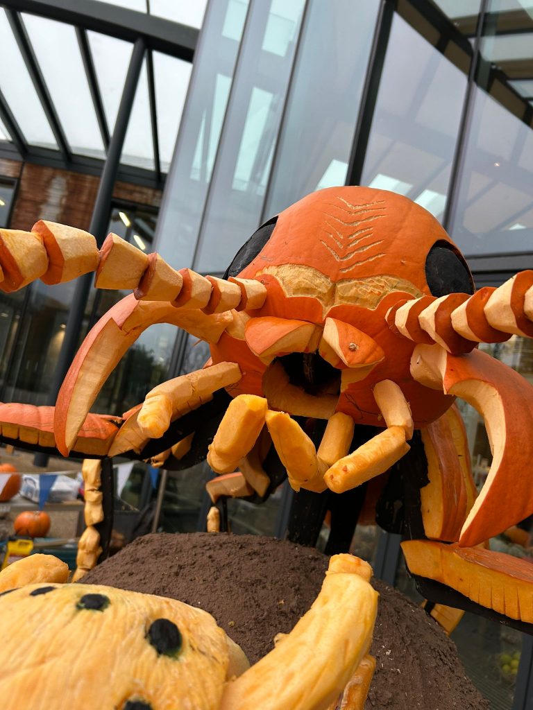 🎃 A Grand Tour of Pumpkin Sculpture Fun with the RHS! 23 beetle pumpkin