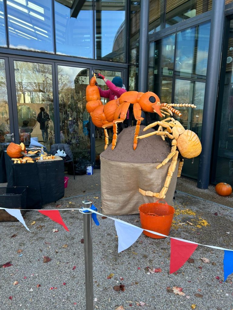 🎃 A Grand Tour of Pumpkin Sculpture Fun with the RHS! 25 carving pumpkins