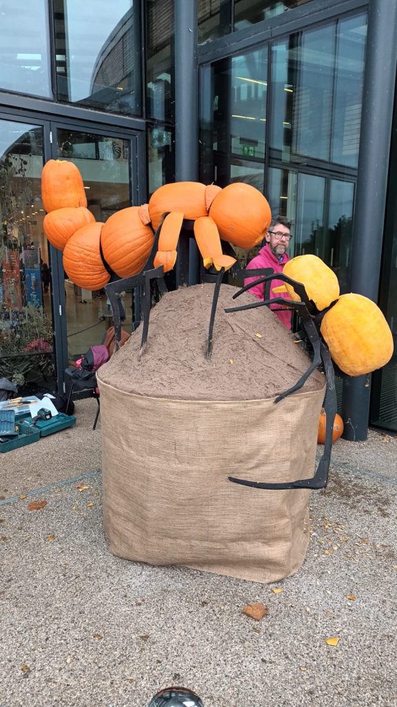 🎃 A Grand Tour of Pumpkin Sculpture Fun with the RHS! 20 carving pumpkins uk