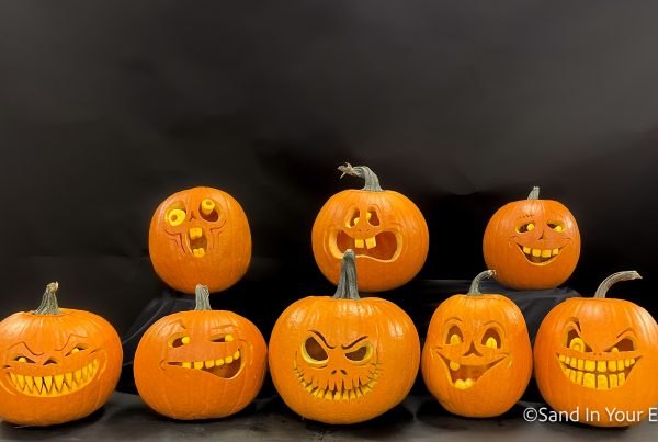 jack o lantern pumpkin professional 3