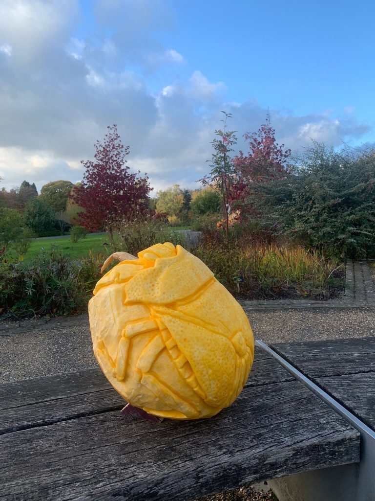 🎃 A Grand Tour of Pumpkin Sculpture Fun with the RHS! 6 professional pumpkin carver 2
