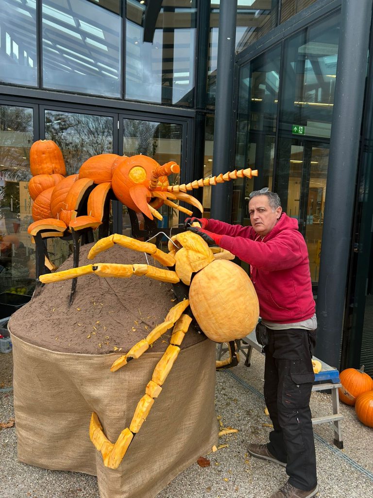 🎃 A Grand Tour of Pumpkin Sculpture Fun with the RHS! 22 pumpkin carver
