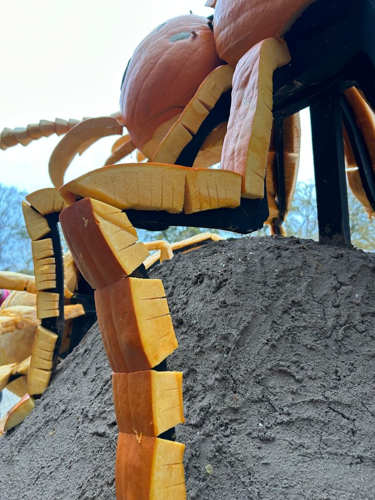 🎃 A Grand Tour of Pumpkin Sculpture Fun with the RHS! 24 pumpkin carving