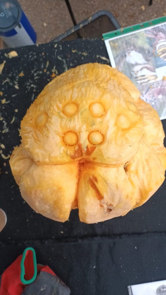 🎃 A Grand Tour of Pumpkin Sculpture Fun with the RHS! 10 pumpkin carver spider
