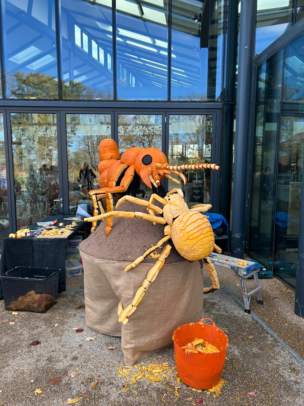 🎃 A Grand Tour of Pumpkin Sculpture Fun with the RHS!