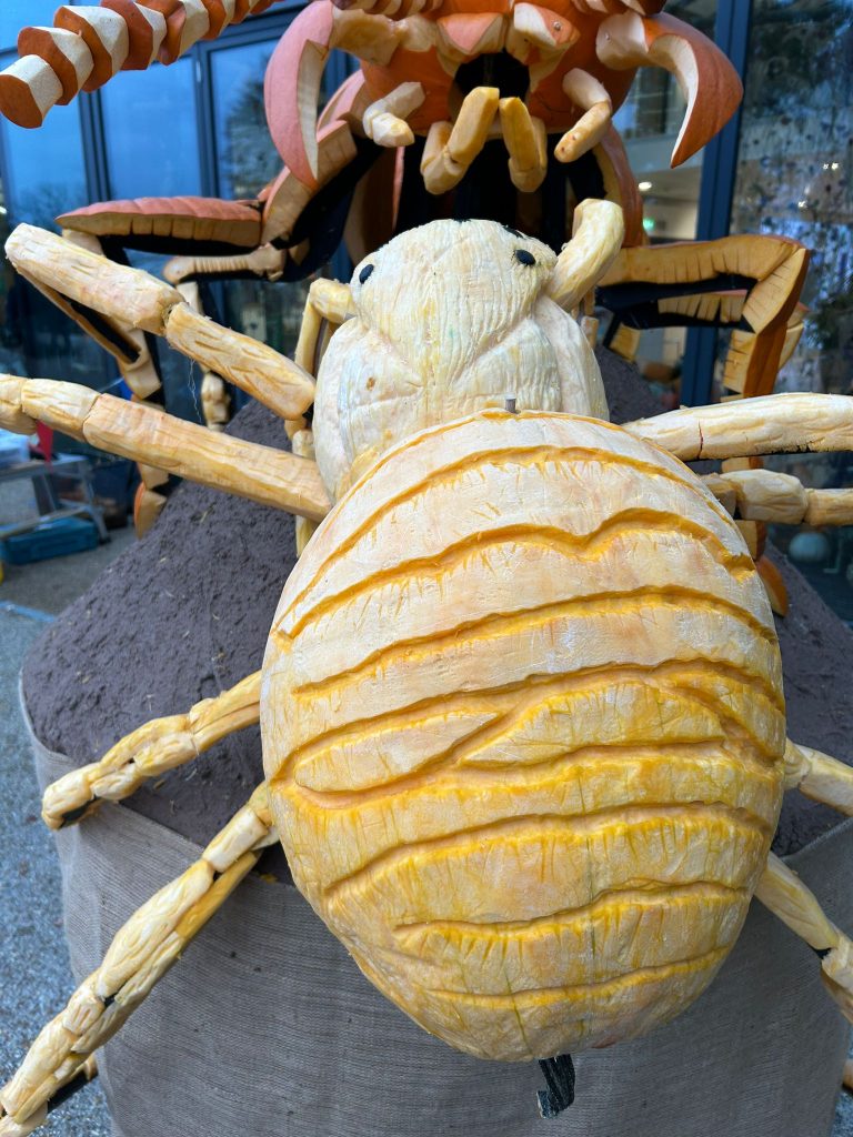🎃 A Grand Tour of Pumpkin Sculpture Fun with the RHS! 26 spider pumpkin