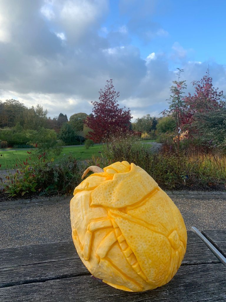 🎃 A Grand Tour of Pumpkin Sculpture Fun with the RHS! 8 uk pumpkin carver 1
