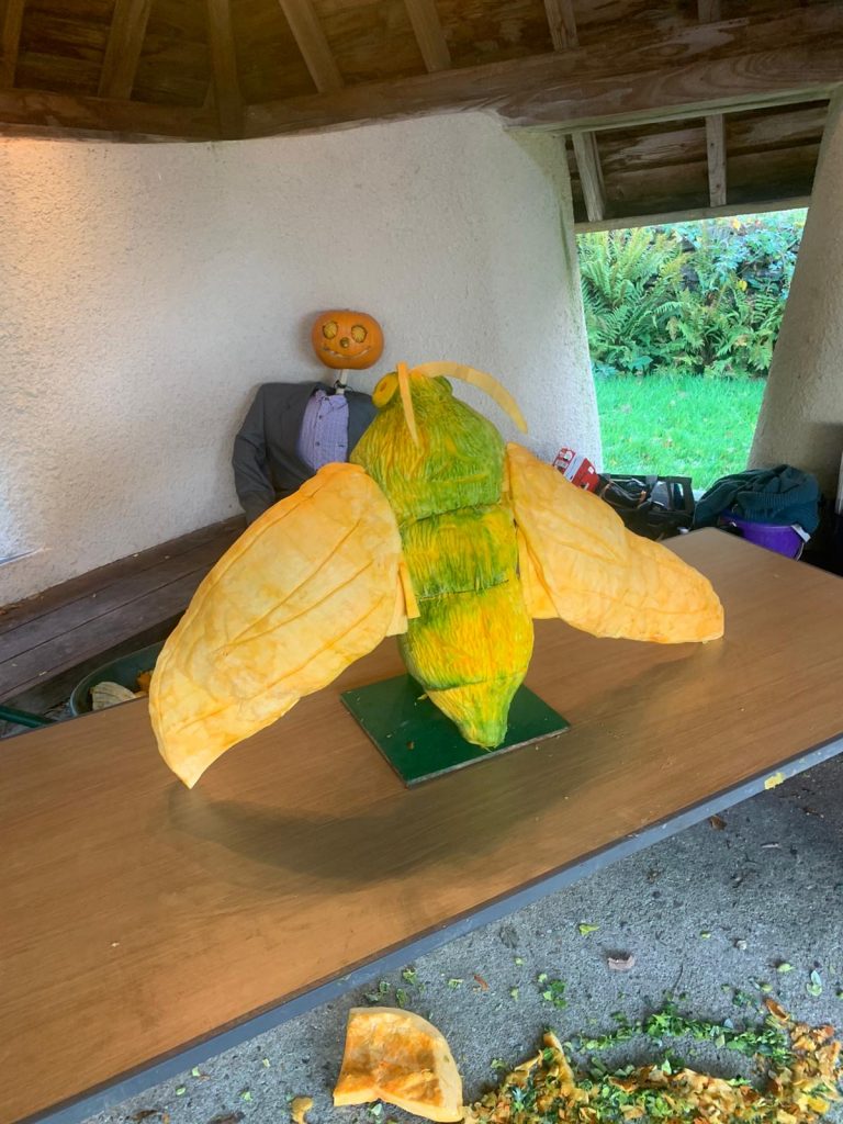 🎃 A Grand Tour of Pumpkin Sculpture Fun with the RHS! 16 uk pumpkin scultpure 1