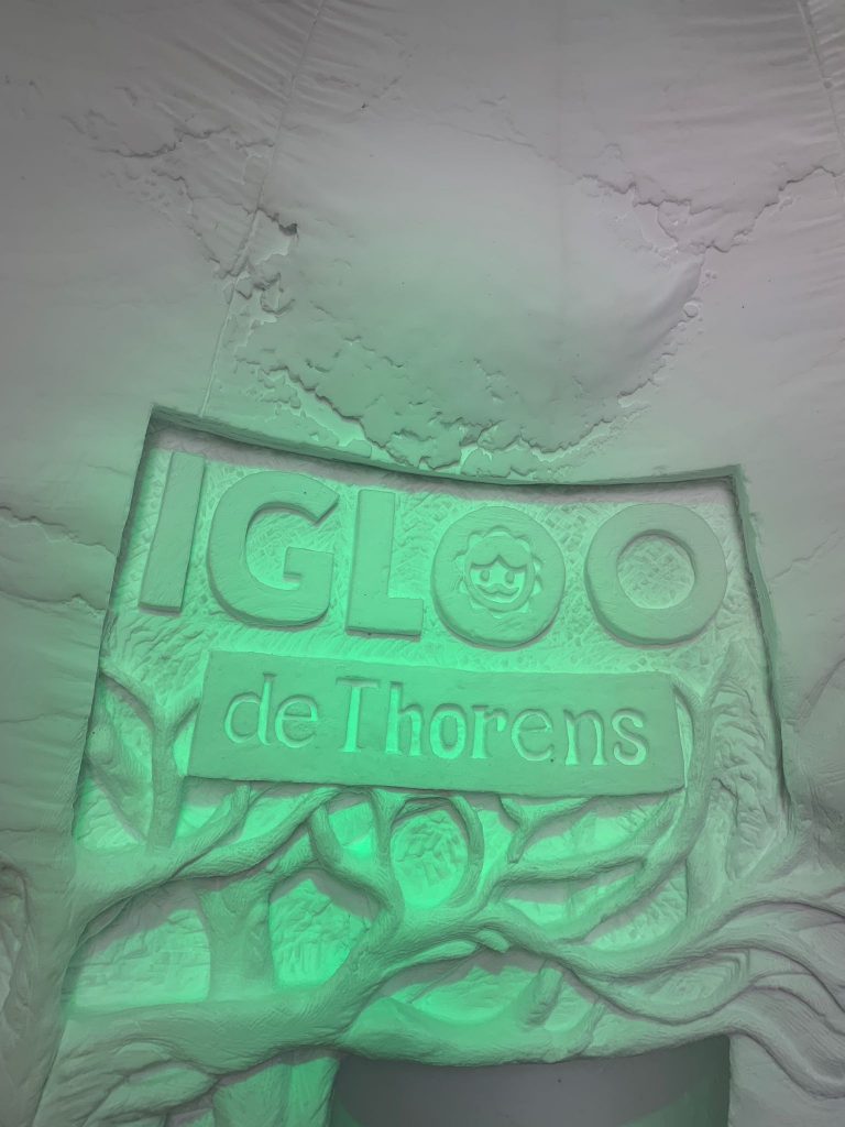 From Sand to Snow: Snow Sculpting a Fantasy World in the French Alps 5 IMG 20251217 WA0021