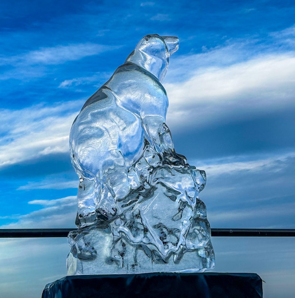 The Arctic Adventure: Why the Saltburn Ice Trail was Bigger and Better Than Ever 20 IMG 1159