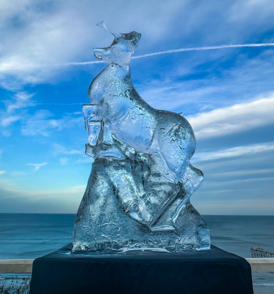 The Arctic Adventure: Why the Saltburn Ice Trail was Bigger and Better Than Ever 19 IMG 1160