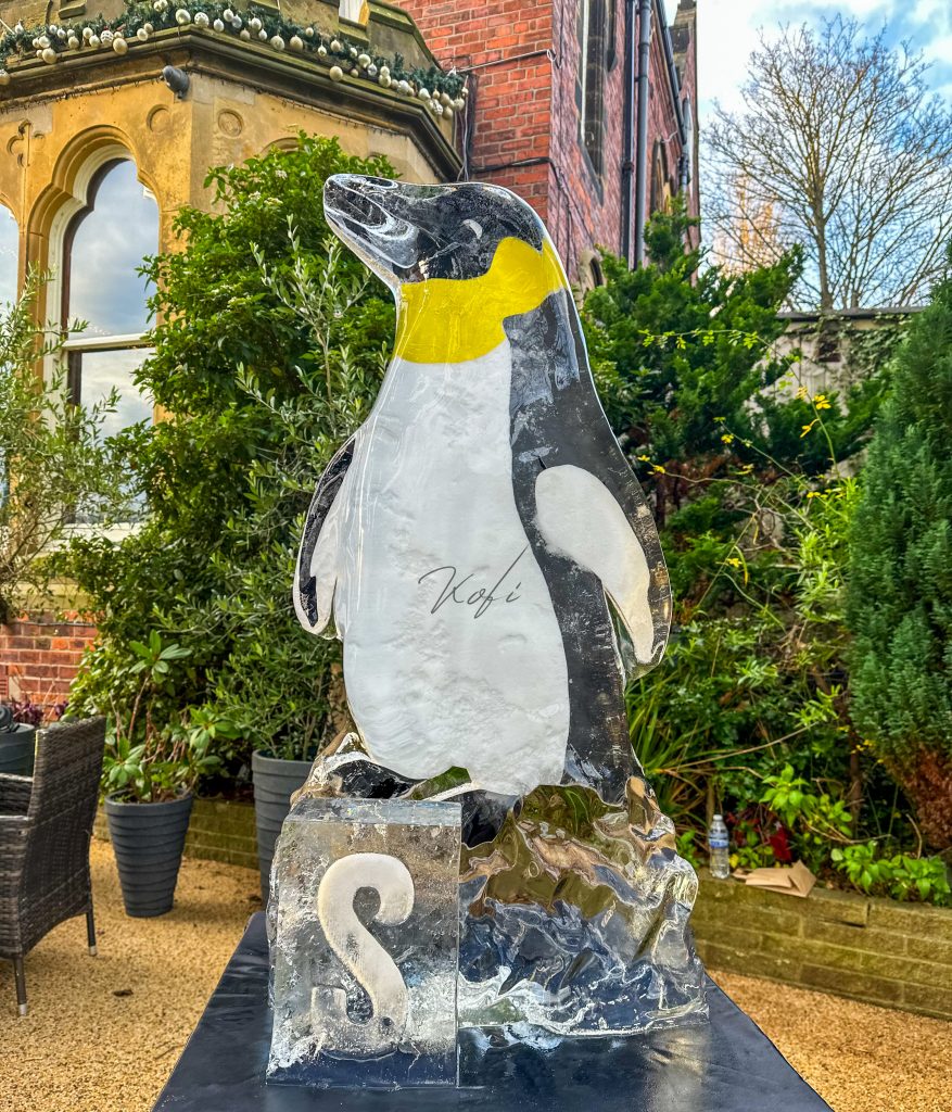 The Arctic Adventure: Why the Saltburn Ice Trail was Bigger and Better Than Ever 21 IMG 1163