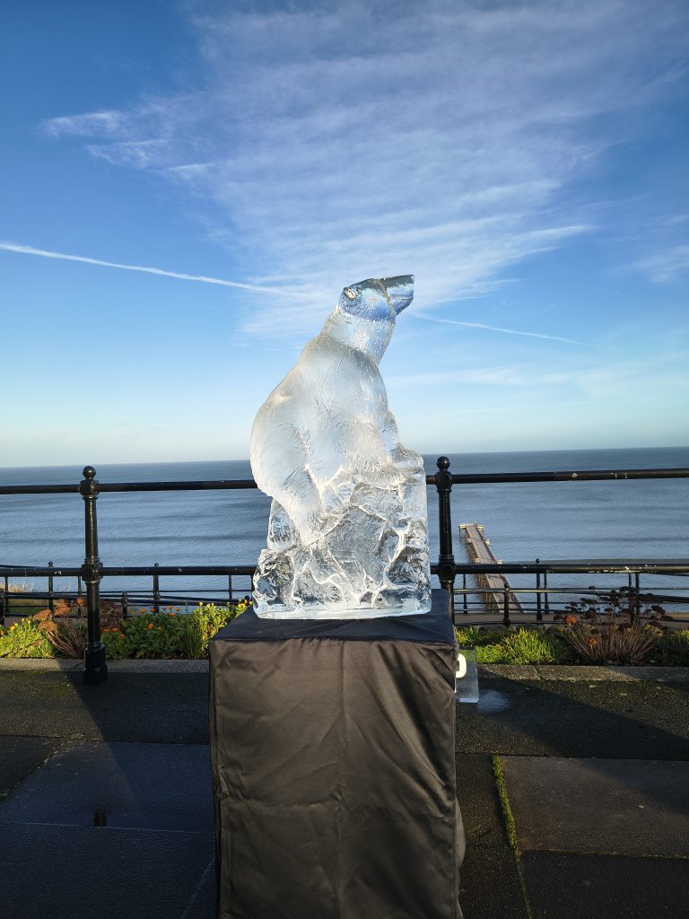 The Arctic Adventure: Why the Saltburn Ice Trail was Bigger and Better Than Ever 17 IMG 20251213 102913981 HDR