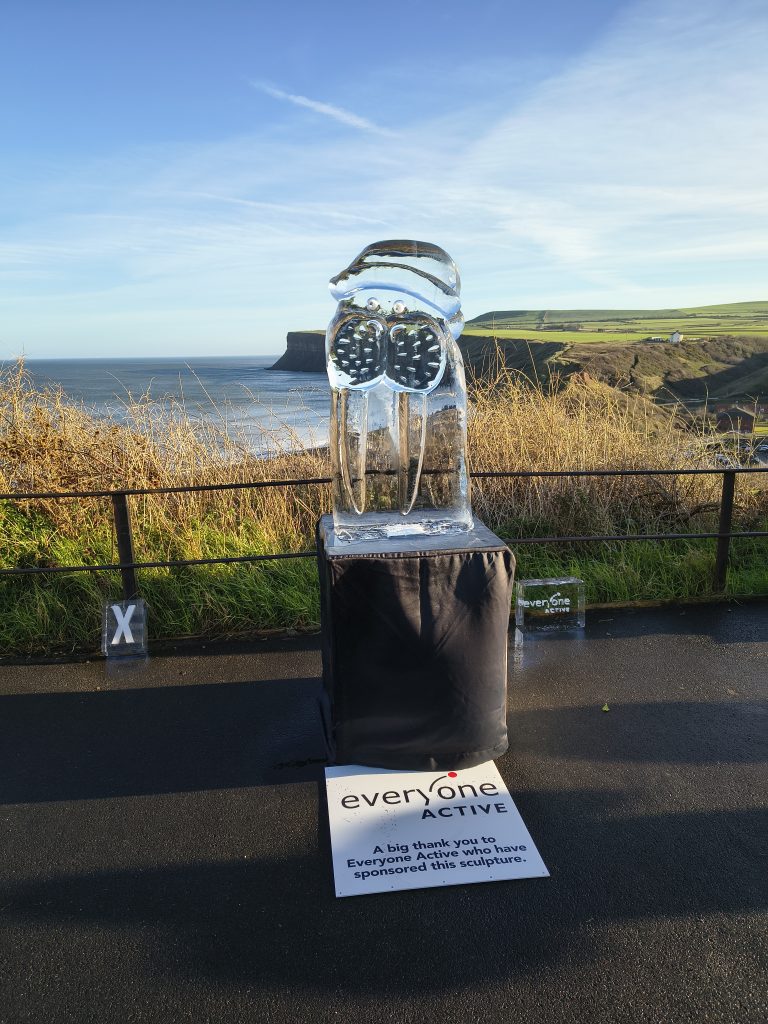 The Arctic Adventure: Why the Saltburn Ice Trail was Bigger and Better Than Ever 18 IMG 20251213 112051145 HDR