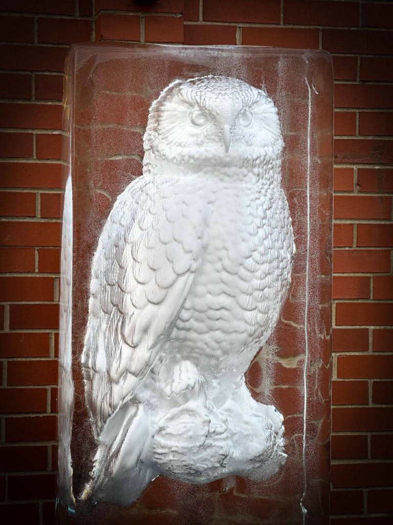 The Arctic Adventure: Why the Saltburn Ice Trail was Bigger and Better Than Ever 11 Saltburn ice trail 20