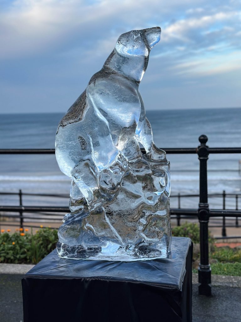 The Arctic Adventure: Why the Saltburn Ice Trail was Bigger and Better Than Ever 7 Saltburn ice trail 24
