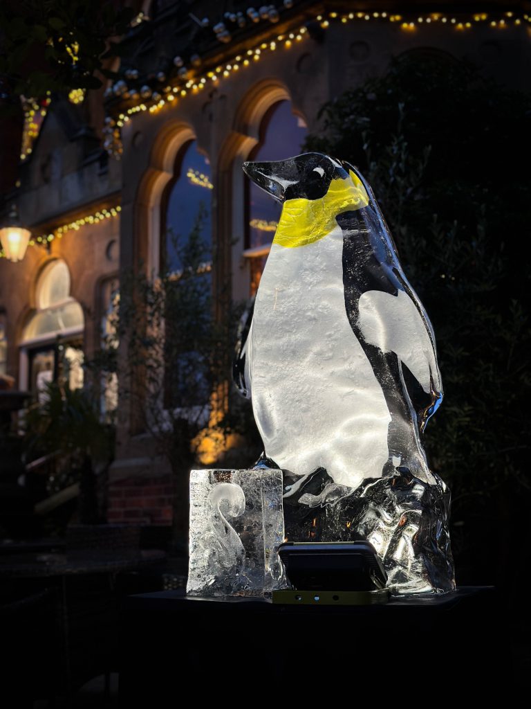 The Arctic Adventure: Why the Saltburn Ice Trail was Bigger and Better Than Ever 9 Saltburn ice trail 32