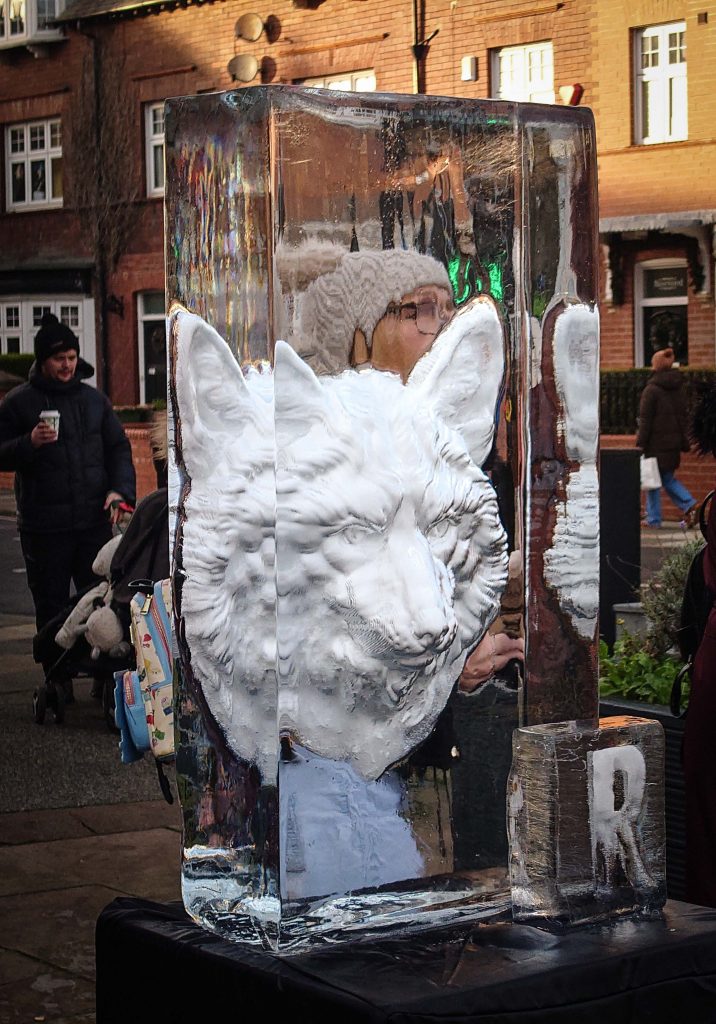 The Arctic Adventure: Why the Saltburn Ice Trail was Bigger and Better Than Ever 12 Saltburn ice trail 37