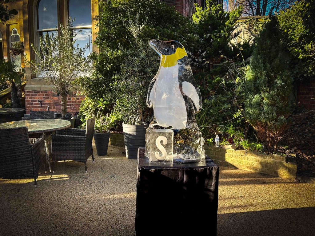 Saltburn ice trail 5