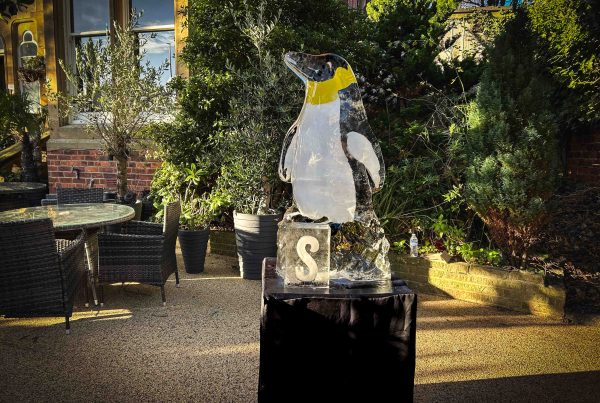 Saltburn ice trail 5