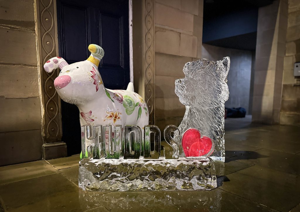 1 hour ice sculpture huddersfield 24