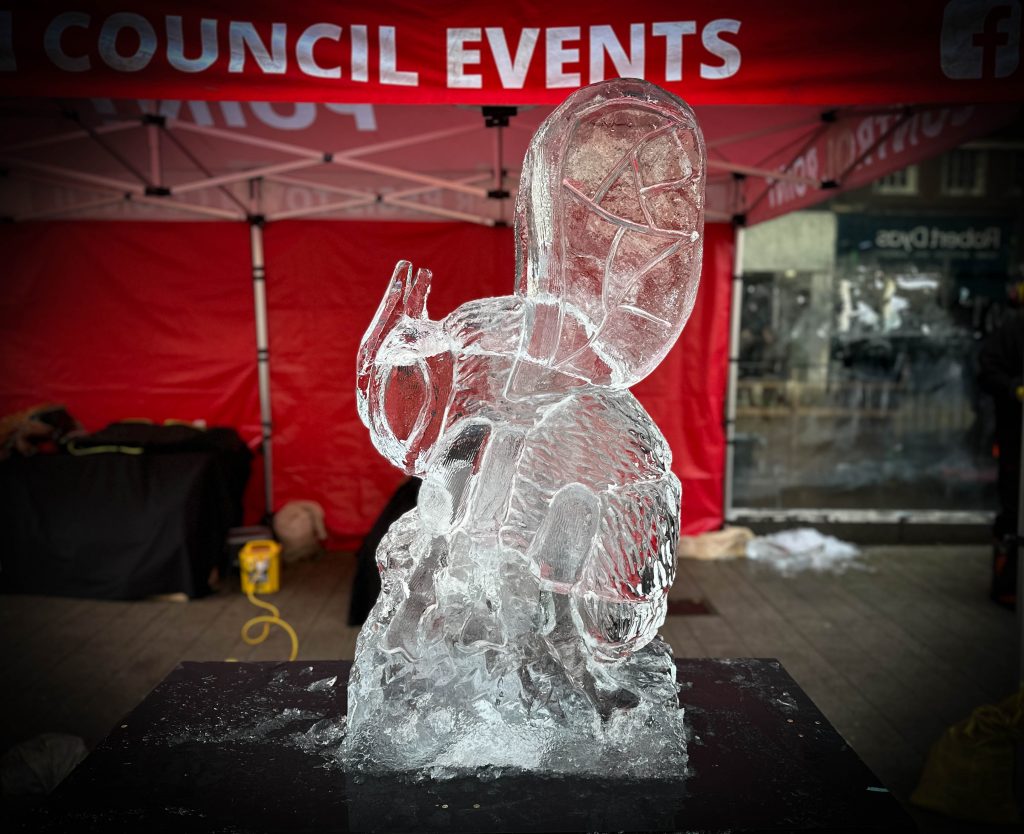 1 hour live ice carving 15